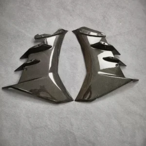 Custom Carbon Fiber Part for Aprilia Custom