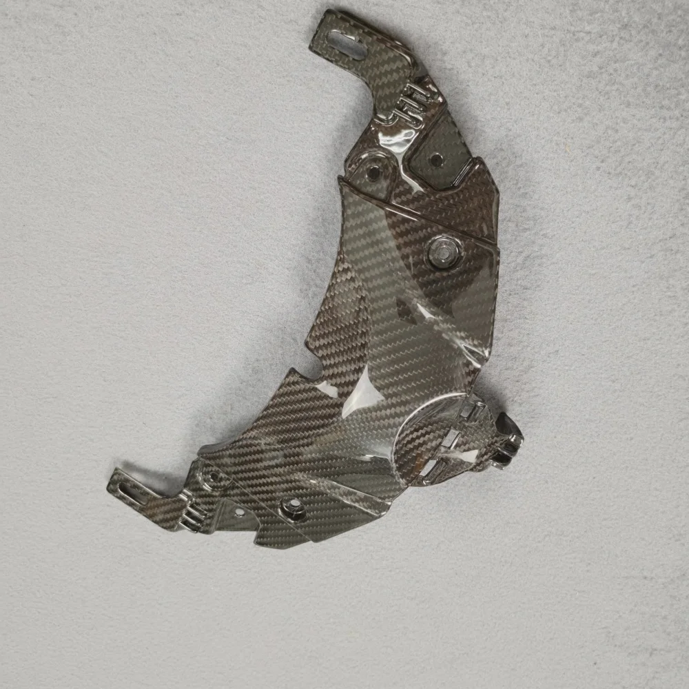 Carbon Fiber Bodywork for Triumph 660 detail 4