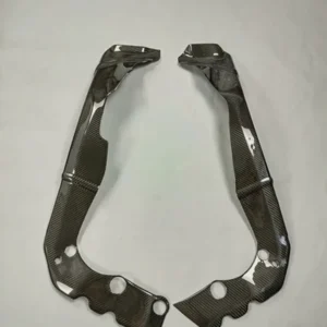Factory Custom Carbon Fiber Accessory for Honda DACB1000RRR (2020)