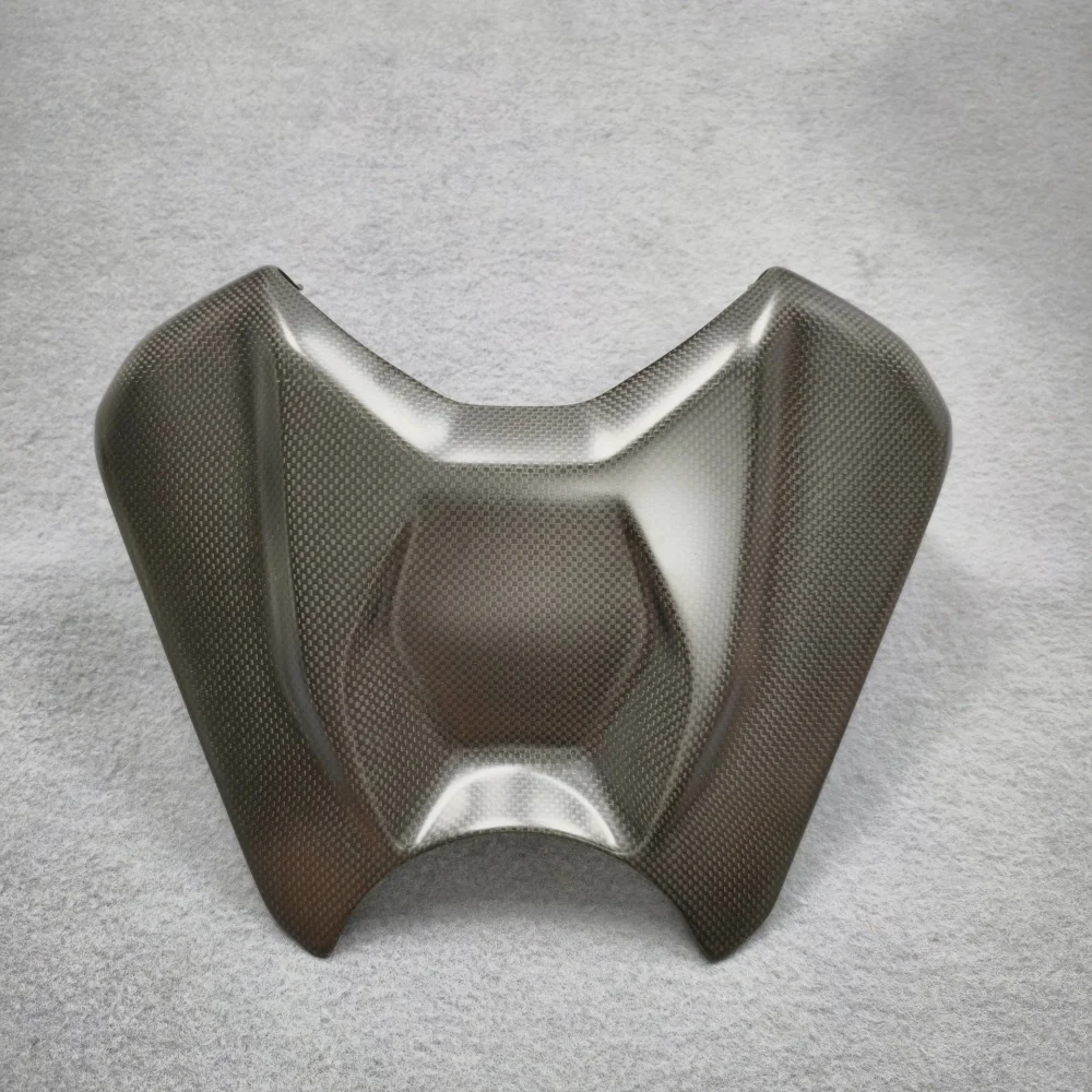 Racing Sport Carbon Fiber Upgrade for Ducati (2025) detail 1