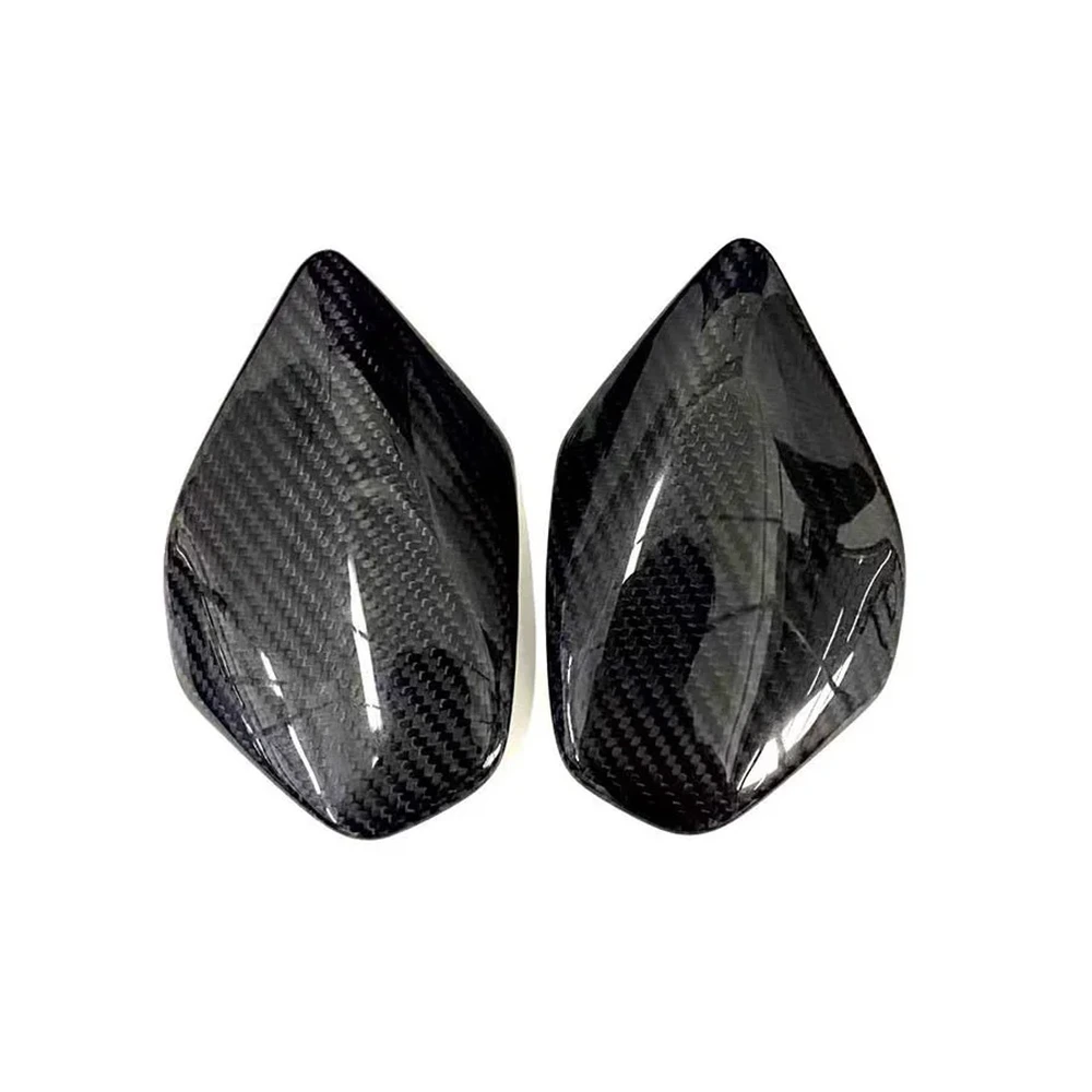 Carbon Fiber Tank Guard for Ducati Panigale V4 V4S