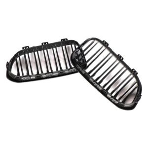 Custom ABS Front Grille for BMW F20 1 Series (2015-2016)